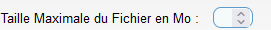 Taille du fichier