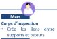 Liens Tuteurs - Berceaux